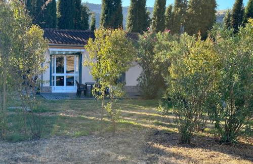 Casita Higo - Foto 19