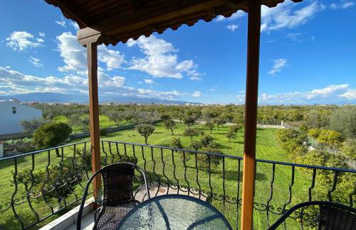 Into the green - Foto 15