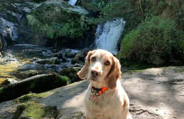 Modern Funky Private Chalet at the Beach - Foto 35