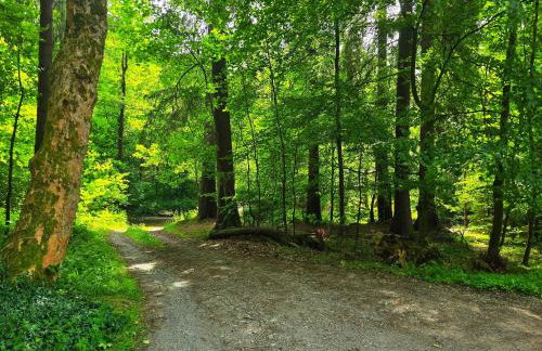 Ferienwohnungen Dorfliebe Dörnberg - Foto 47