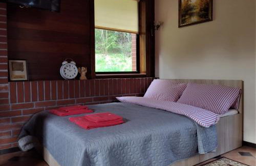 Pod Górą Turma - Photo 9