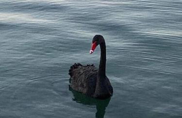 Terra Lago Villa Lake, Mountain and Desert view, Coachella Getaway - Foto 42