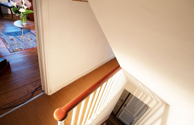 Birch in the Lanes - Foto 27