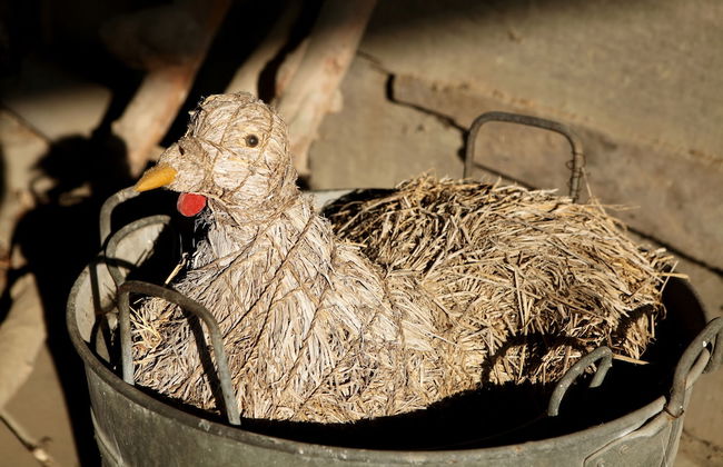 Tenuta Guazzaura - Photo 10