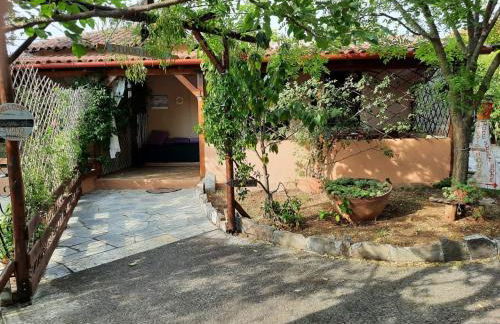 Your Home in Argalasti - Foto 10