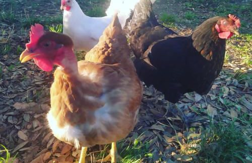 Agriturismo La Villetta - Foto 28