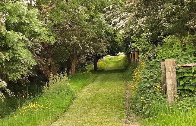 Abhainn Ri Cottages - Foto 11