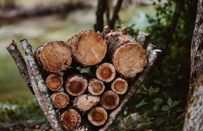 FlowEdge Riverside Getaway - Photo 39