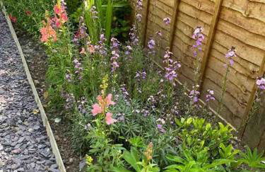 Allt Lwyd - Peaceful & Tranquil Setting - Photo 38