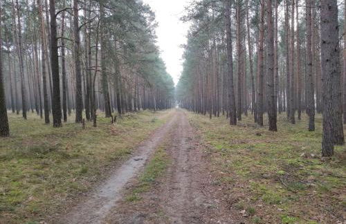 Ferienhaus Erna - Foto 46