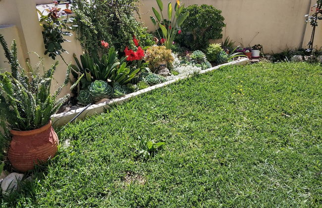 Lefkada Blue - Foto 35