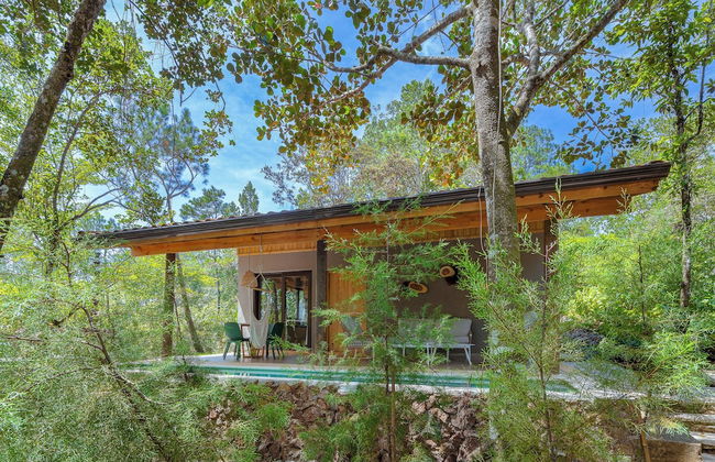 The Grand Forest Jarabacoa - Photo 9