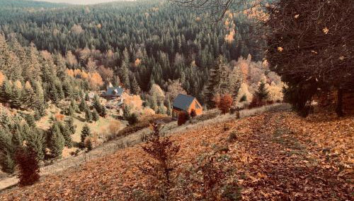 Apartament Na Szlaku - Foto 4