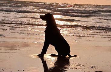 Stunning 4 bedroom house in Wadebridge, Cornwall - 2 living rooms and superking beds - Foto 23