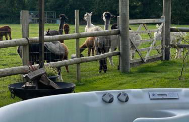 The Alpaca Cabin - Photo 34