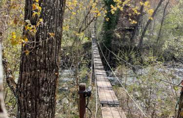 CALMFRANC ático abuhardillado con vistas al río y la montaña Avistamiento de ciervos en Canfranc Pueblo - Foto 44