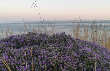 Blue Coast House - Foto 53