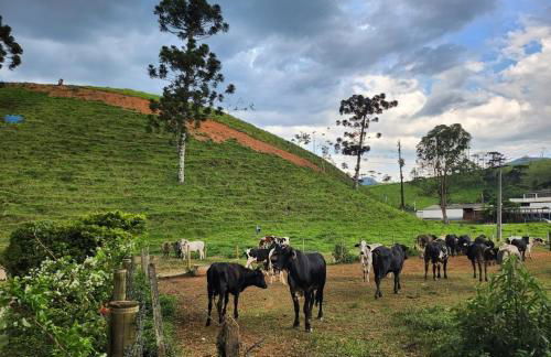Fazenda Montanhes - Foto 62