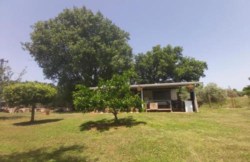 Apartment Pharos - Foto 24