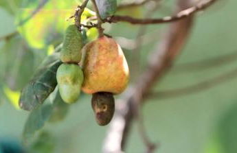 Casa Pérola da Barra - Foto 21