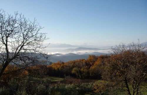 Aia di Lazzaro Agriturismo - Foto 49