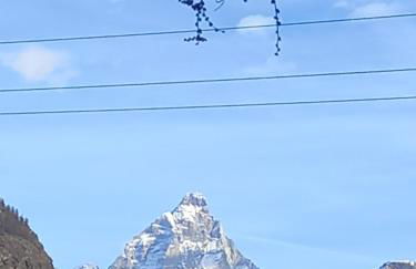 Maison du bois - Photo 1