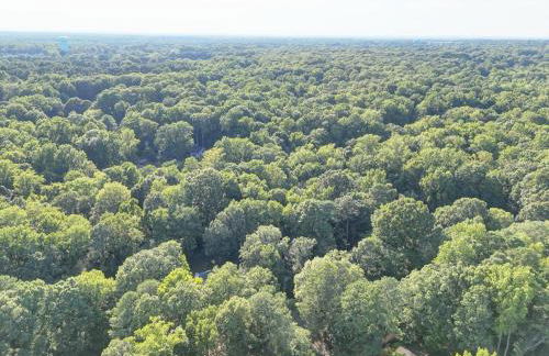 Downtown Guest House - Foto 40