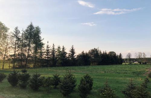 Sosnówka - dom wypoczynkowy na Kurpiach - Foto 34