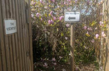 The Viewpoint - Photo 63