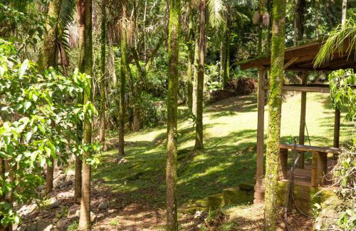 Canto da cascata - Foto 36