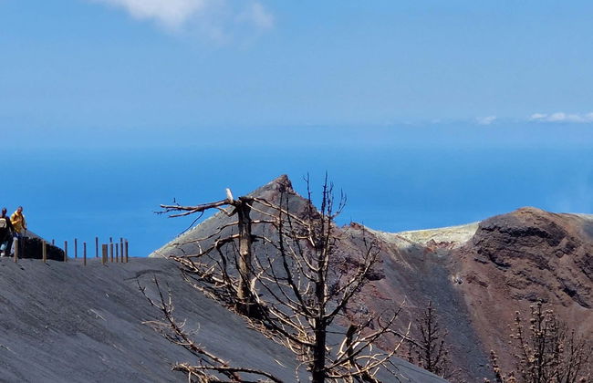 Tajogaite Volcano Hike - Foto 13