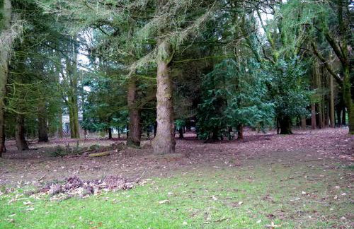 Beautiful cottage in Brentwood - Foto 54