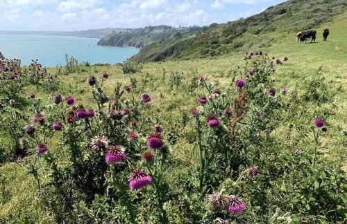 Oak Tree Lodge: Unique 2 level Shepherd's Hut: Dartmouth - Foto 30
