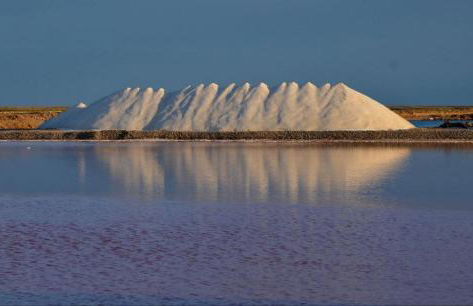 L'hippocampe - Foto 23