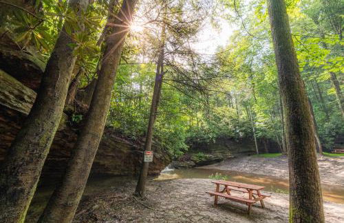 Beauty Mountain Hideaway - Secluded - New River Gorge National Park - Foto 49