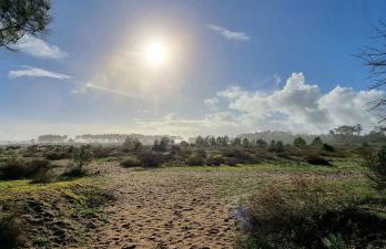 Le Ptit Vertbois - Foto 17