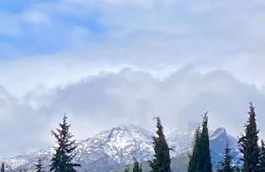 Cabaña La Pura Vida Yunquera - Foto 25