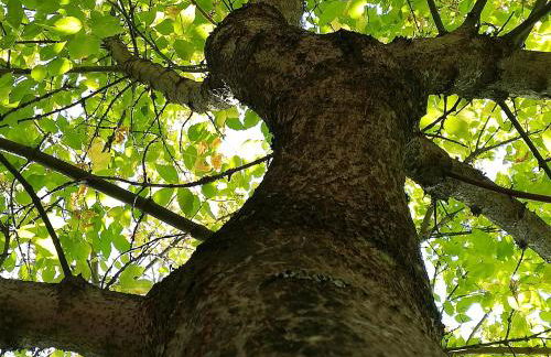 Quinta de S. Vicente 317 - Foto 77