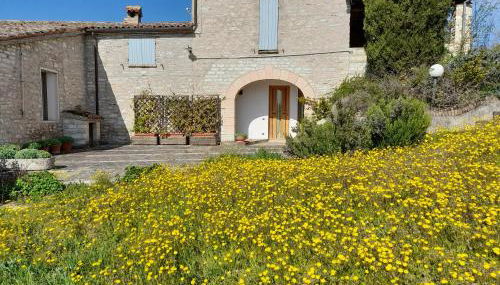 Agriturismo del Frontino - Lo Studio - Foto 5