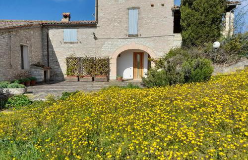 Agriturismo del Frontino - Lo Studio - Foto 5