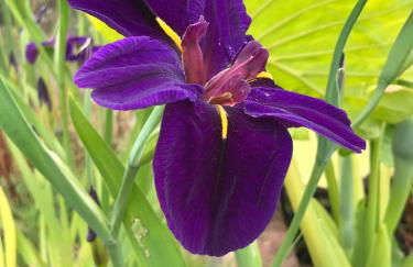 Haciendas del Valle - Casa San Miguel - Foto 20