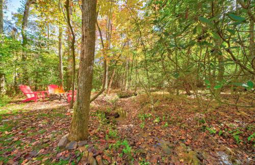 Ferny Creek Cottage - Foto 21