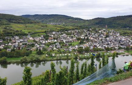 Moselanker de in Enkirch Mosel - Foto 55