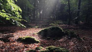 Alles am Fluss in Lüneburg - Foto 4