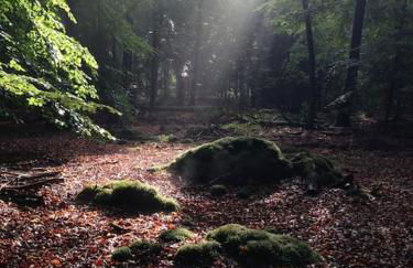 Alles am Fluss in Lüneburg - Foto 4