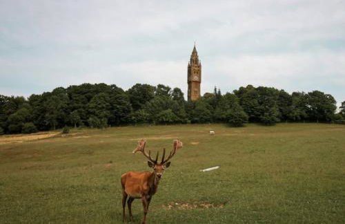 1 Bed in Abberley 89032 - Photo 22
