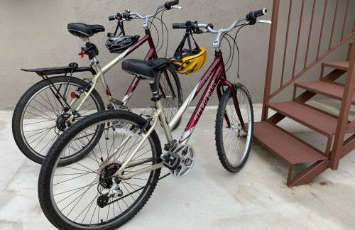 El niu del volcà - Foto 20