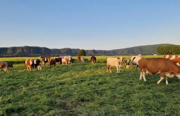 Ferienwohnung Kälberstall - Foto 12