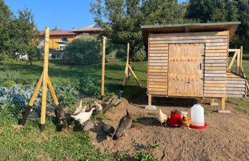 Agriturismo Lambra La Casa Del Sol - Foto 35