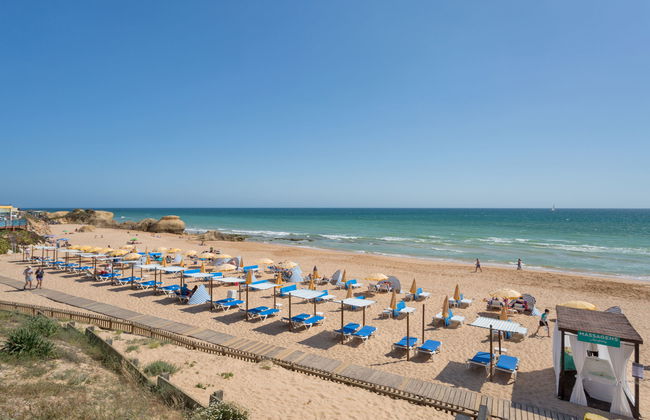 Flor de Maio - Foto 29